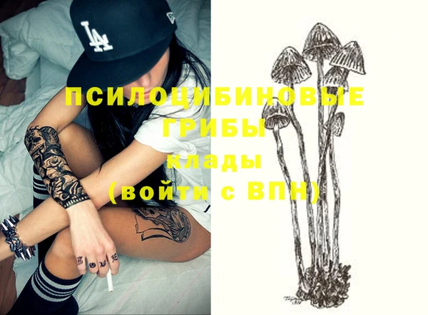 крисы Аркадак