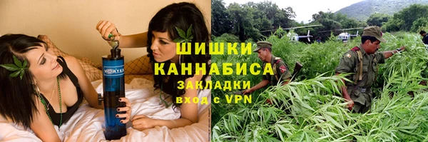 дживик Тихвин