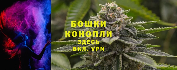 крисы Аркадак