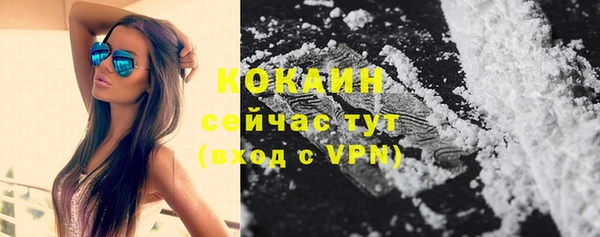 крисы Аркадак