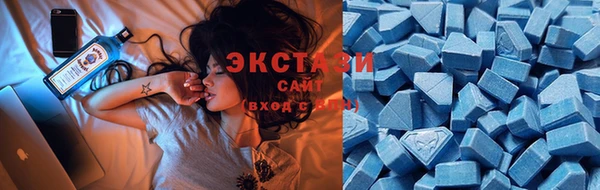 крисы Аркадак